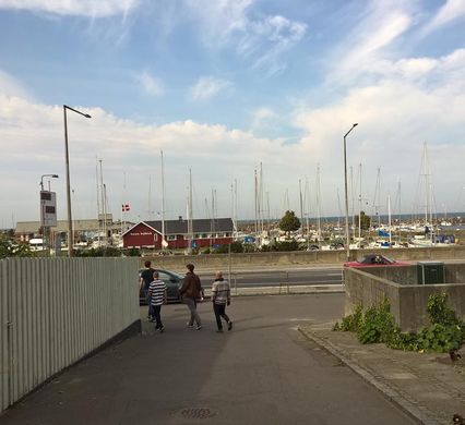 Portówka Bornholmska - wrzesień 2018